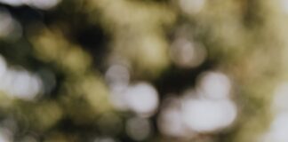 ekologia, produkty kompostowalne