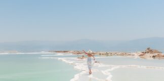 Ile dać soli na 30 kg kapusty do kiszenia?