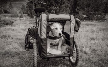 Do jakiej wagi przyczepka rowerowa?