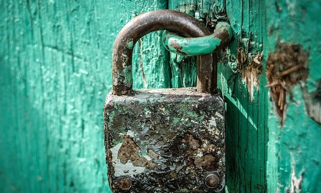 Jakie są zasady bezpieczeństwa w sieci?