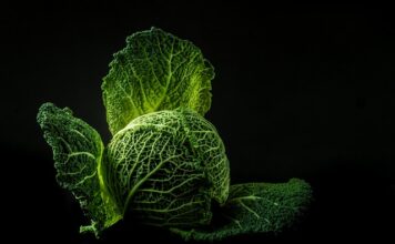 Jaka woda zalać kapustę kiszoną?