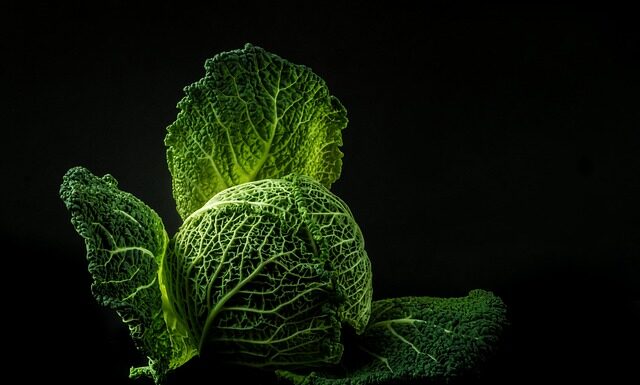 Jaka woda zalać kapustę kiszoną? Jaka woda zalać kapustę kiszoną?