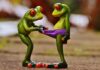 Czy nosicie slipy? Czy nosicie slipy?