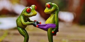Czy nosicie slipy?