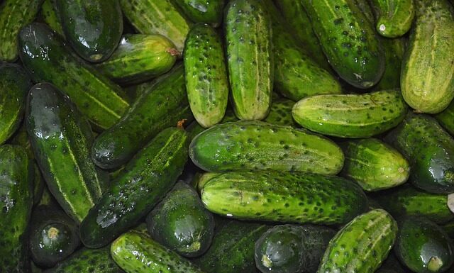 Czy do kiszenia ogórków dodaje się cukier?