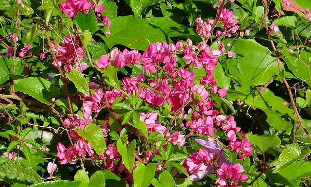 Jakimi wartościami powinien kierować się człowiek w życiu rozprawka Antygona?