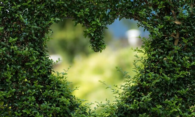 Co jeść aby zachować zdrowe serce?