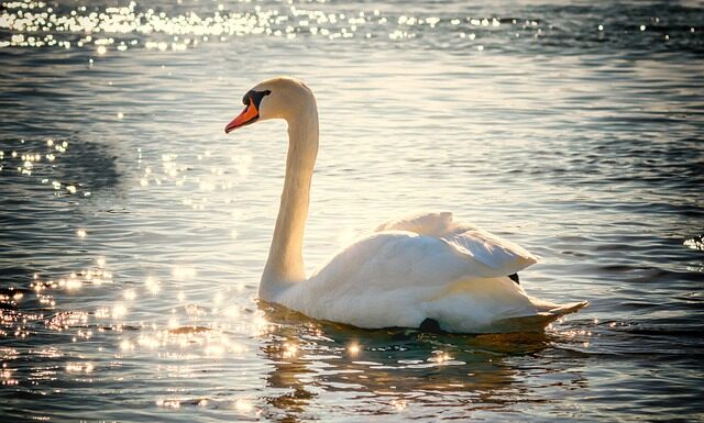 Jak żyć długo i szczęśliwie?