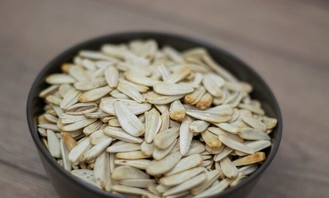 Które z wartości cenionych przez Kochanowskiego można uznać za aktualne dzisiaj?