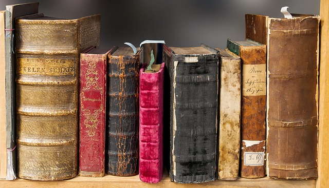 Jakie wartości daje nam literatura?