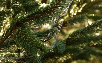 Jak poznać siebie i swoje potrzeby?