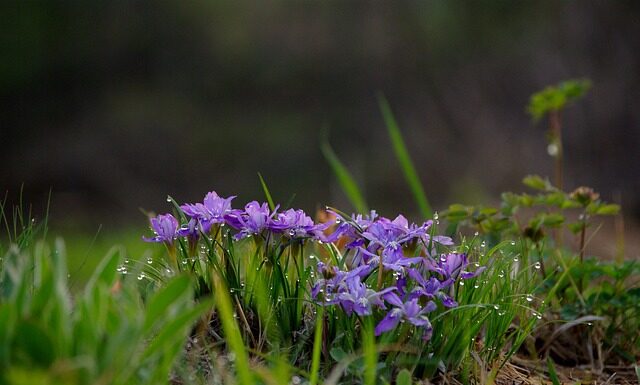 Czy wartości ważne dla człowieka zmieniają się pod wpływem?